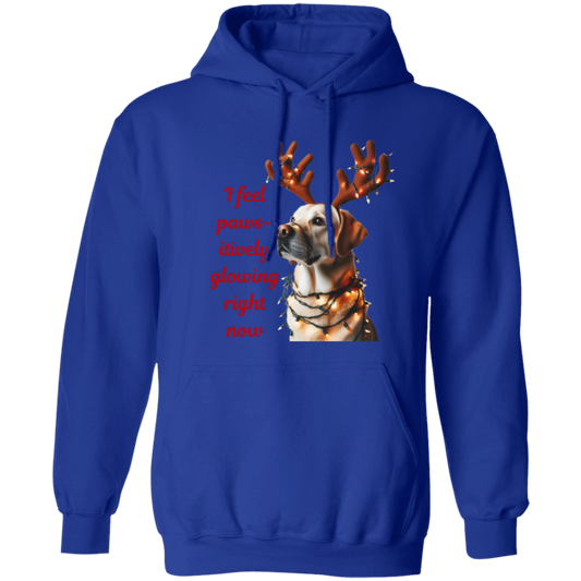 Paw-sitively Glowing Pullover Hoodie